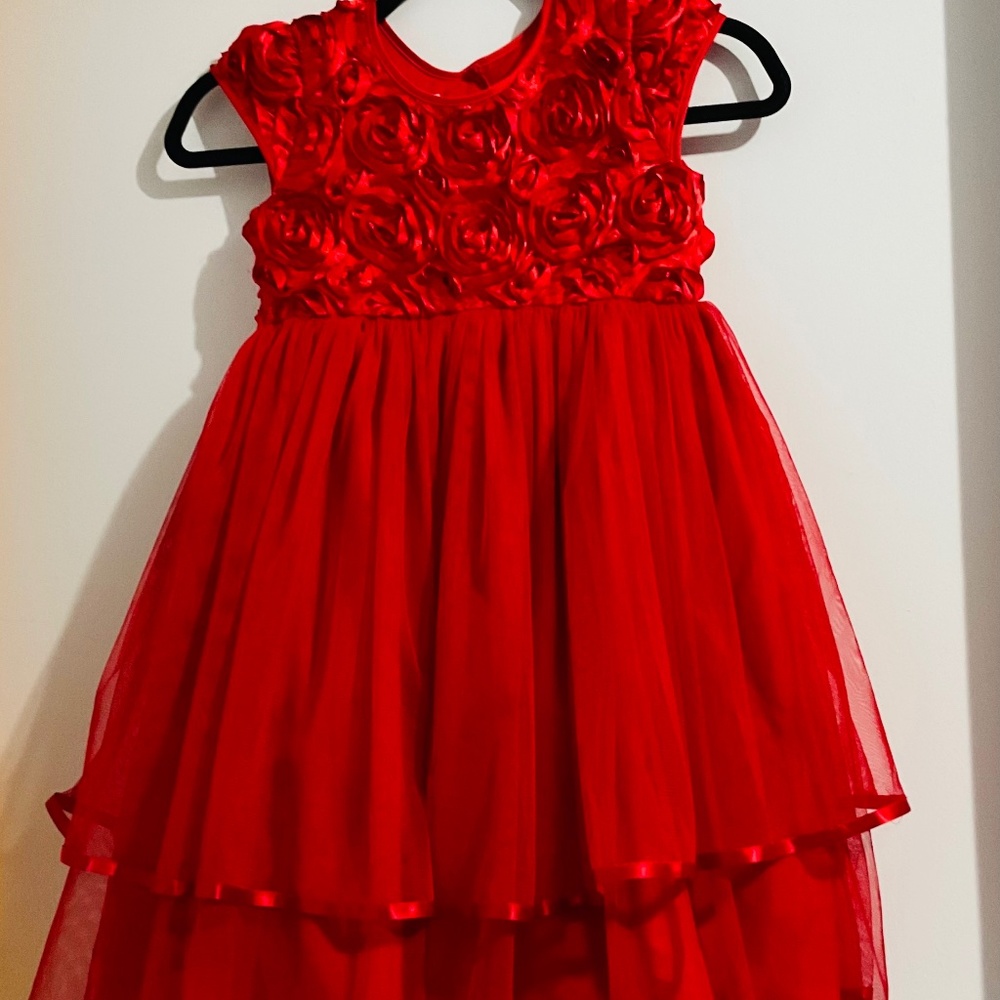 Pippa & Julie red roses Valentine dress/ Daddy daughter dance dress girl size 7